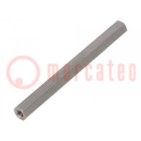 Screwed spacer sleeve; 75mm; Int.thread: M4; hexagonal