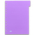 Oxford 400005445 Trennblatt Polypropylen (PP) Gemischte Farben