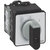 BACO NC02GX80 Double-Pole On-Off-On Cam Switch