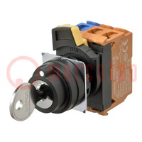 Switch: rotary with key; 22mm; Stabl.pos: 2; NO x2; black; none