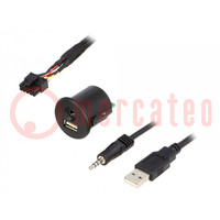 Adattatore USB/AUX; Fiat; Jack 3,5mm 4pin presa,USB A presa