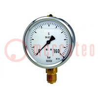 Manometer; 0÷160bar; Class: 1.6; 63mm; Temp: -20÷60°C; 213.53