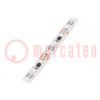 Programmable LED tape; RGBW; 5050; 12V; LED/m: 60; 12mm; white PCB