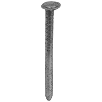 FORGEFIX RH100B500 - CLAVO DE CABEZA ANCHA (500 G), GALVANIZADO