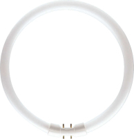 Philips MASTER TL5 Circular lampada fluorescente 22,3 W 2GX13 Bianco caldo