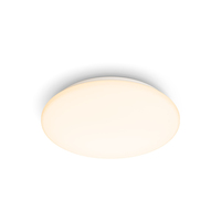 Philips Functional Moire Ceiling Light 10 W