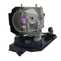 OPTOMA TX565UT-3D Module de lampe de projecteur (ampoule d'origine à l'in