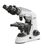 Microscopi ottici Educational-Line OBE 12/13 Tipo OBE 132