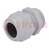 Cable gland; M25; 1.5; IP68; polyamide; grey