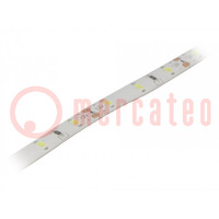 LED strips; koud wit; 3528; 12V; LED/m: 60; 8mm; witte PCB; 120°
