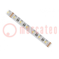 Ruban LED; RGBW; 5050; 12V; LED/m: 60; 12mm; PCB blancs; IP20; 120°