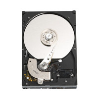 Western Digital Caviar SE 250GB SATA II