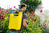 GLORIA Hobby 1800 Backpack garden sprayer 18 L