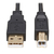 Tripp Lite P782-010-HA Juego de Cables KVM HDMI - 4K HDMI, USB 2.0, audio de 3.5 mm (M/M), Negro, 3.05 m [10 pies]