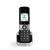 Alcatel F890 Voice Duo zwart Telefono DECT Identificatore di chiamata Nero, Argento