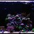 Relaxdays Leuchtsteine, 200 Stück, nachtleuchtend, fluoreszierende Steine für Garten, Aquarium, Vasen, versch. Farben