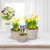 Relaxdays Blumentopf, 3er Set, Rattan, Pflanzentöpfe mit Folie, 3 Größen, runde Blumenübertöpfe für innen, weiß/natur