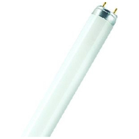 Leuchtstofflampe 18W/830, XXT, G13, 590 mm