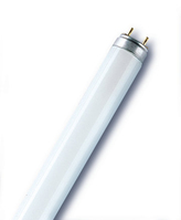 Osram L 58 W/77 fluorescente lamp G13