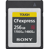 Sony CEB-G256 memóriakártya 256 GB PC kártya