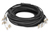 Digitus Câble breakout fibre optique universel préassemblé, multimode OM4, 12 fibres, LC/UPC – LC/UPC