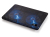 Conceptronic CNBCOOLPAD2F podkładka chłodząca do notebooków 39,6 cm (15.6") Czarny