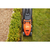 Black & Decker BEMW461BH-QS tondeuse à gazon Marcher derrière un tracteur tondeuse Secteur Noir, Orange