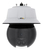 Axis Q6315-LE Dome IP-beveiligingscamera Binnen & buiten 1920 x 1080 Pixels Muur