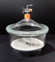 Dessiccateur LLG verre sodocalcique avec couvercle robinet en verre et plaque en porcelaine