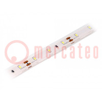 LED strips; koud wit; 3014; 12V; LED/m: 60; 10mm; IP68; 120°; 6W/m