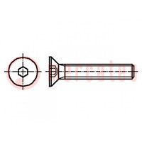 Screw; M10x25; 1.5; Head: countersunk; hex key; HEX 6mm; DIN 7991