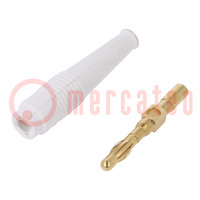 Connettore: banana 4mm; spina; 32A; bianco; non isolati; 2,5mm2