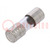Fuse: fuse; quick blow; 0.1A; 250VAC; cylindrical,glass; 5x15mm