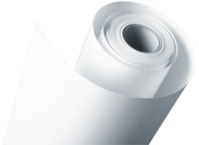 1x2 Fujifilm Dryphotopaper DX 250 g 127 mm x 65 m silk