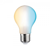 Paulmann 503.92 ampoule LED Lumière de jour, Blanc chaud 60 W E27 E