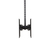 StarTech.com Dual TV Ceiling Mount - Back-to-Back Heavy Duty Hanging Dual Screen Mount with Adjustable Telescopic Pole - Tilt/Swivel/Rotate - VESA Bracket for 32”-75" Displays