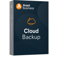 AVAST Business Cloud Backup (500-19000 GB) / 100GB