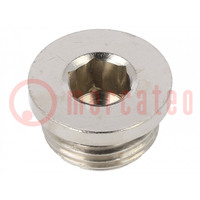 Protection cap; max.50bar; nickel plated brass; Thread: G 1/2"