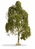 NOCH 20120 maßstabsgetreue modell ersatzteil & zubehör Baum