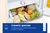 Samsung RB38C603DEL frigorifero Combinato EcoFlex AI Libera installazione con congelatore Wifi 2m 390 L Classe D, Sabbia