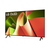 LG OLED B4 65'' Serie OLED65B42LA,TV 4K, 4 HDMI, Dolby Vision, SMART TV 2024