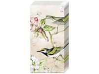 Taschentuch Ihr Birds Symphony cream, 10Stk