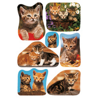 Sticker Katzenfotos