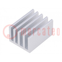 Heatsink: extruded; grilled; natural; L: 25mm; W: 19mm; H: 10mm; raw