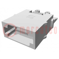 Conector: HDC; módulo; macho; Han-Modular®; borna de tornillo; 1A