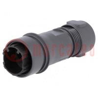 Connector: circular; plug; male; PIN: 2; w/o contacts; for cable