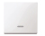 Merten 436019 light switch Thermoplastic White