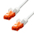 ProXtend V-6UTP-05W câble de réseau Blanc 5 m Cat6 U/UTP (UTP)