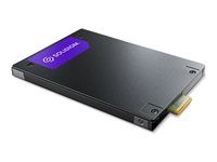 SSD/PS1010 3.84TB E3.S 7.5mm PCIe 5.0 Sg