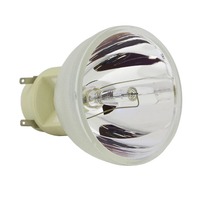 OPTOMA W400 Nackte Originallampe